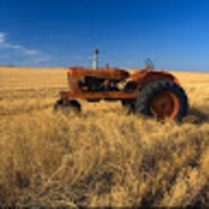 Meet your Posher, Richard